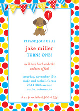Puppy Dog Primary Dots Chalkboard Birthday Invitations