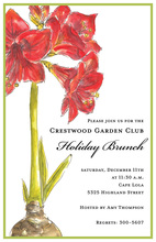 Vintage Carnation In Classy Red Floral Invitations
