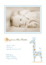 Blue Orange Giraffe Photo Cards