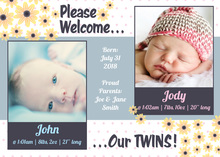 Double Daisies Double Babies Photo Cards