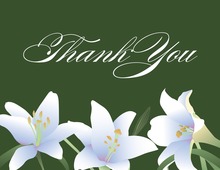 Elegant Spring Velvet Lilies Thank You Cards