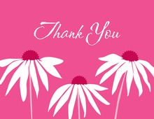 Contemporary Pink Leaning Daisies Thank You Cards