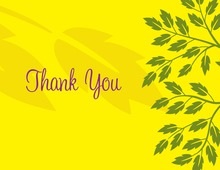 Bright Floral Breeze In Yellow Thank You Cards