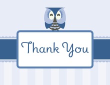 Blue Hoot Two Wide-Eyed Owls Thank You Cards