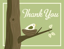 Nest Green Thank You Cards