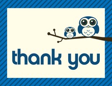 Blue Hoot Two Wide-Eyed Owls Thank You Cards