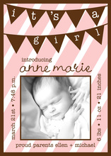 Pink Baby Girl Banner Photo Cards