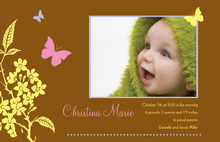 Butterfly Baby Photo Cards