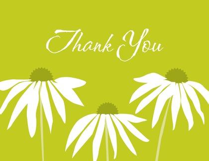 Contemporary Pink Leaning Daisies Thank You Cards