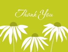 Superior Flowers Thank You Cards