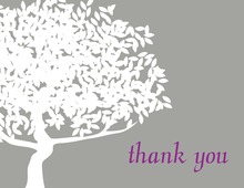 Big Lovely Silhouette Tree Thank You Cards