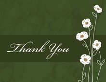 Zebra Daisies Thank You Cards
