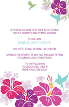 Abstract Bermuda Hibiscus Invitation