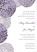 Purple Chrysanthemums Invitation