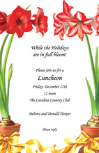 Red Amaryllis Floral Arrangements Invitation
